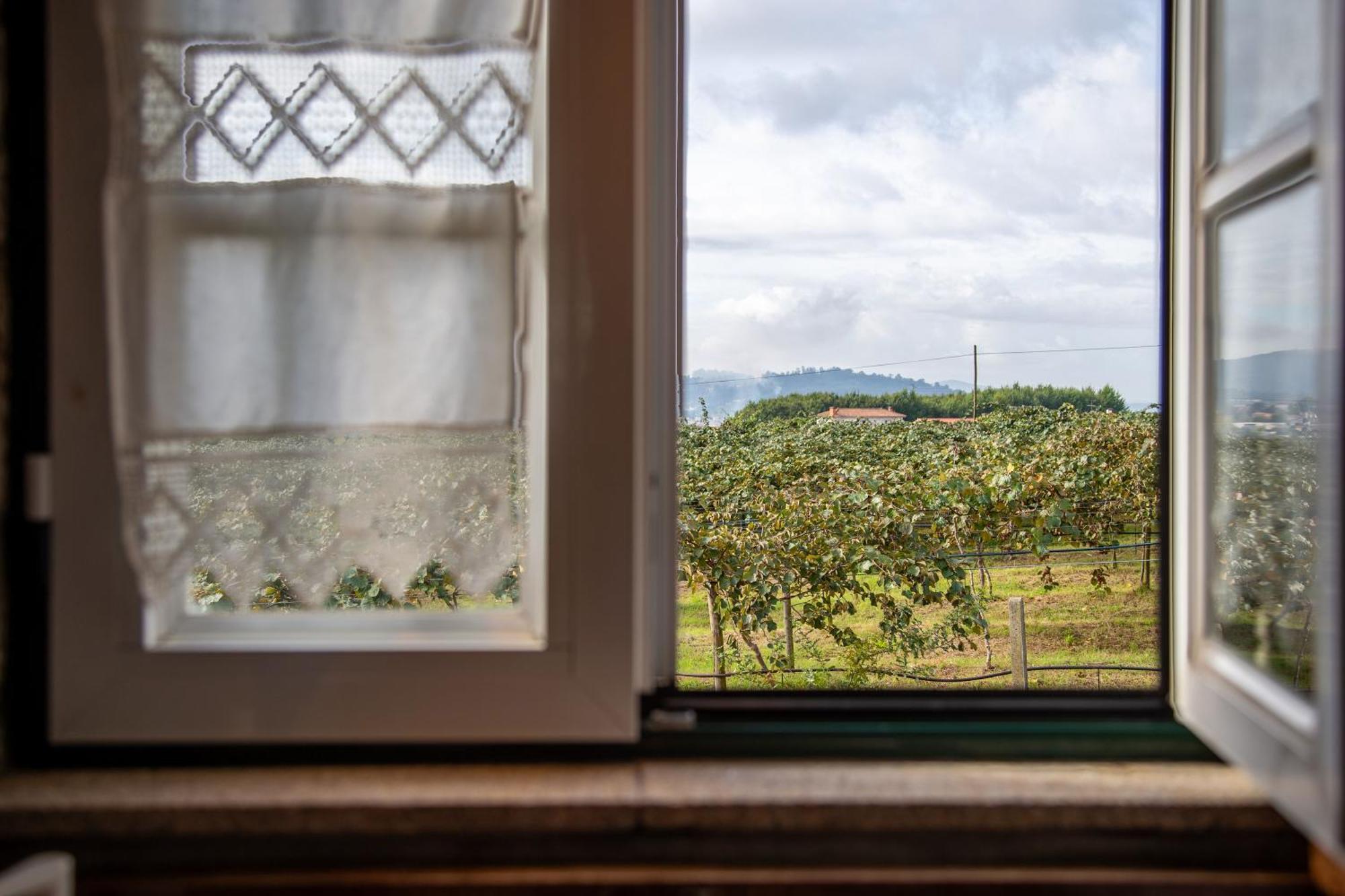 Quinta Do Carvalhal Alojamento, Penafiel Irivo Bagian luar foto